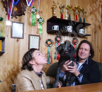 Новые владельцы